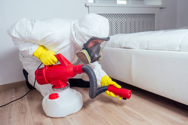 Professional Pest Control in Fairfax, CA